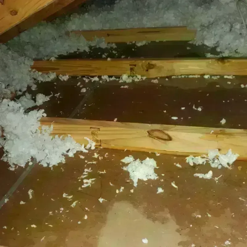 Attic Water Damage in Aleutians East Borough, AK